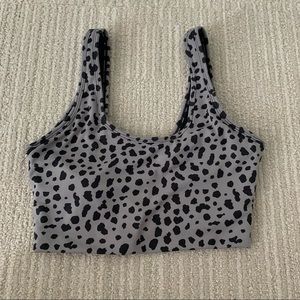 Animal Kingdom 2.0 Snow Leopard Midnight Top